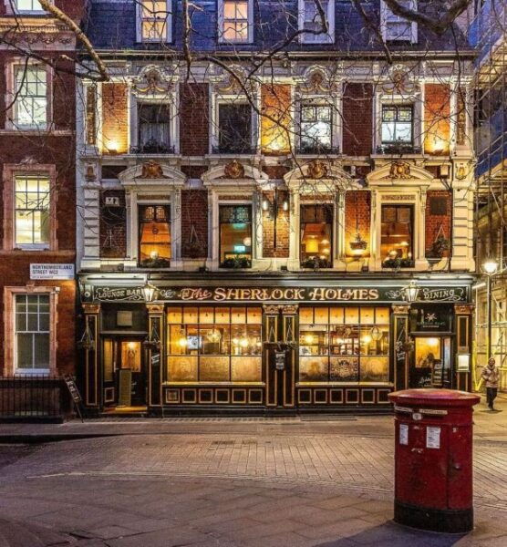 London: Explore London By Night In A VIP Private Car - Tour Description