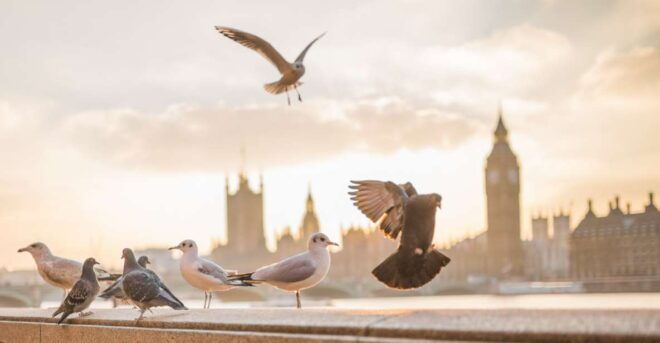 London: First Discovery Walk and Reading Walking Tour - Inclusions and Exclusions