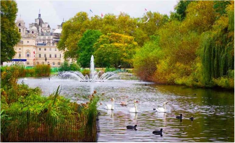 London Full-Day Discovery with City Highlights - Should you book London Full-Day Discovery?