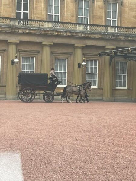 London Gatwick Airport to LONDON Transfers - Company Background