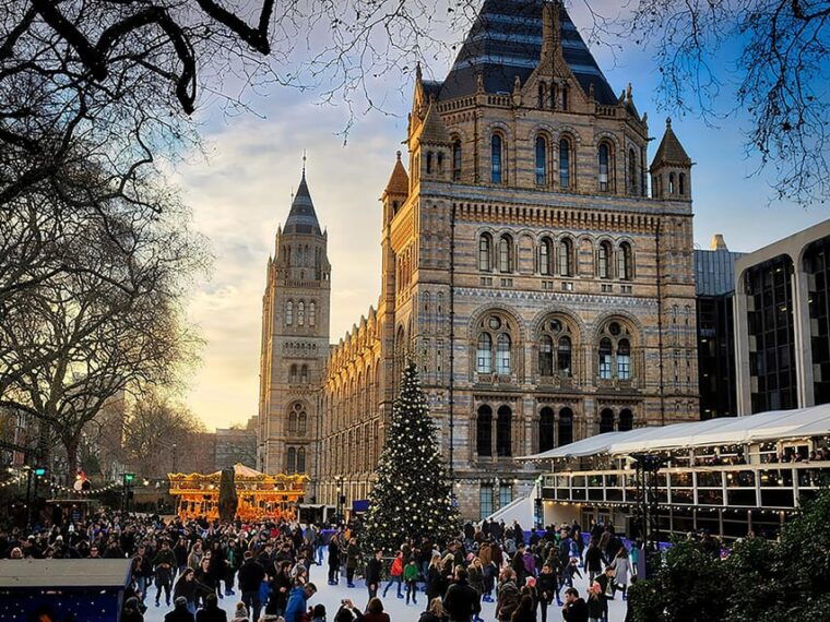 London: Guided Exploration at the Museum of Natural History - Important Information and Logistics