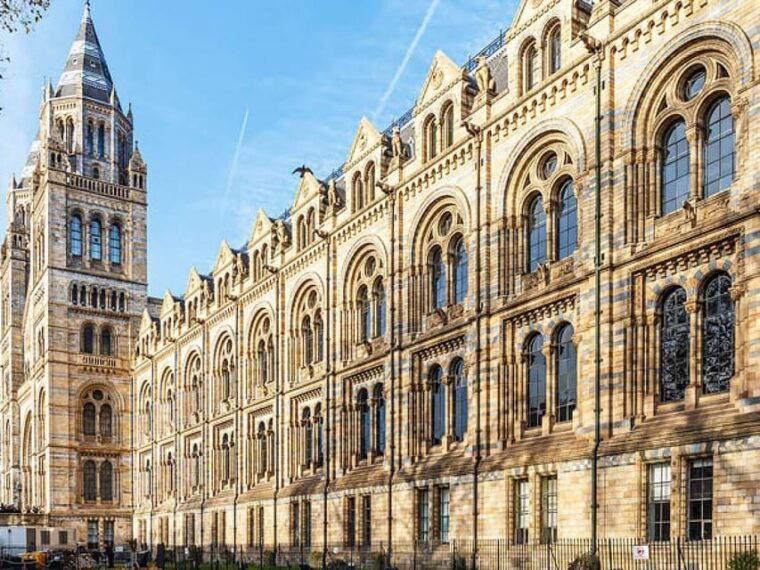 London: Guided Exploration at the Museum of Natural History - Booking and Cancellation Policy