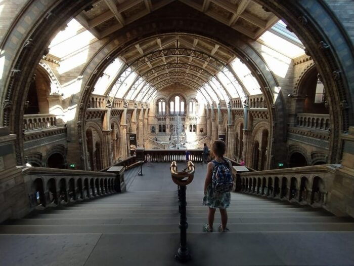 London: Guided Exploration at the Museum of Natural History - Guided Tour Benefits