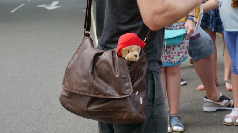 London: Guided Paddington Bear Walking Tour - Who Will Enjoy This Tour Most?