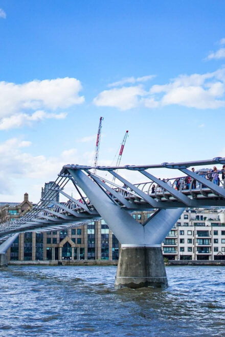London: Guided Thames Cruise and Harry Potter Walking Tour - Experience and Guide