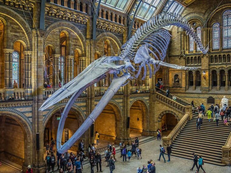 London: Guided Tour of Natural Marvels - The Sum Up