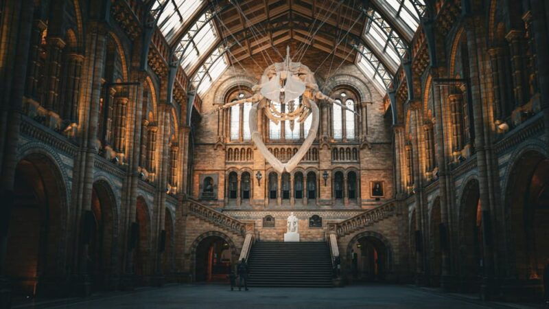 London: Guided Tour of the Natural History Museum - The Practical Side: Pricing, Duration, and Accessibility