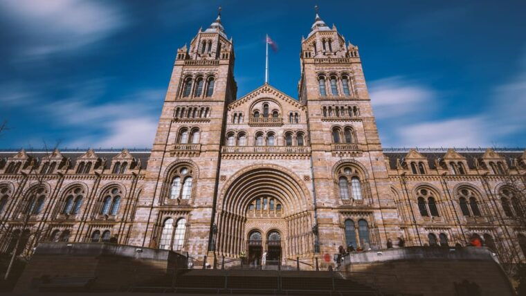 London: Guided Tour of the Natural History Museum - Authentic Feedback from Visitors
