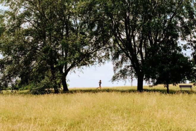 London Hampstead Heath Fun Puzzle Treasure Hunt! - Digital Packs