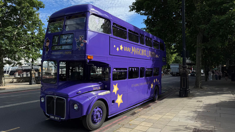 London Harry Potter 2-Hour Guided Bus Tour - What a two-hour Harry Potter bus tour can offer