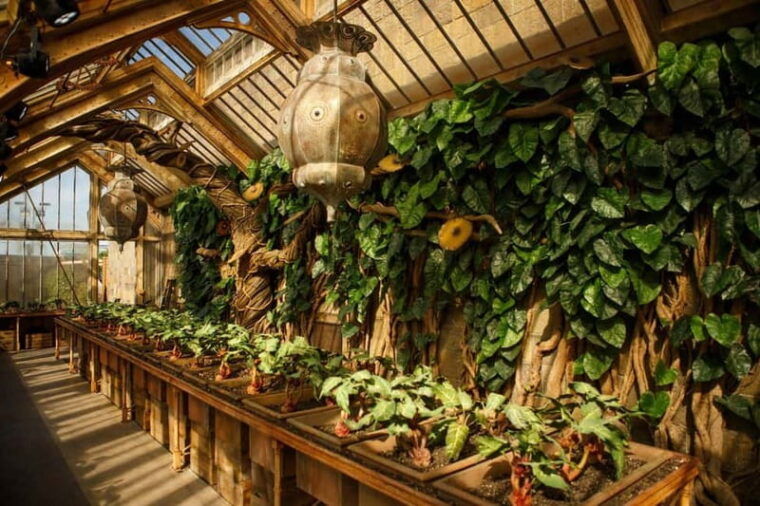 London: Harry Potter Studio Tour London & 4-Star Hotel Stay - Final Thoughts: Who Is This Tour For?