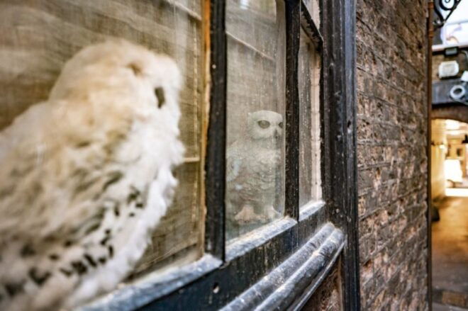 London: Harry Potter Tour, Hop-on Hop-off Bus, and Cruise - Review Summary