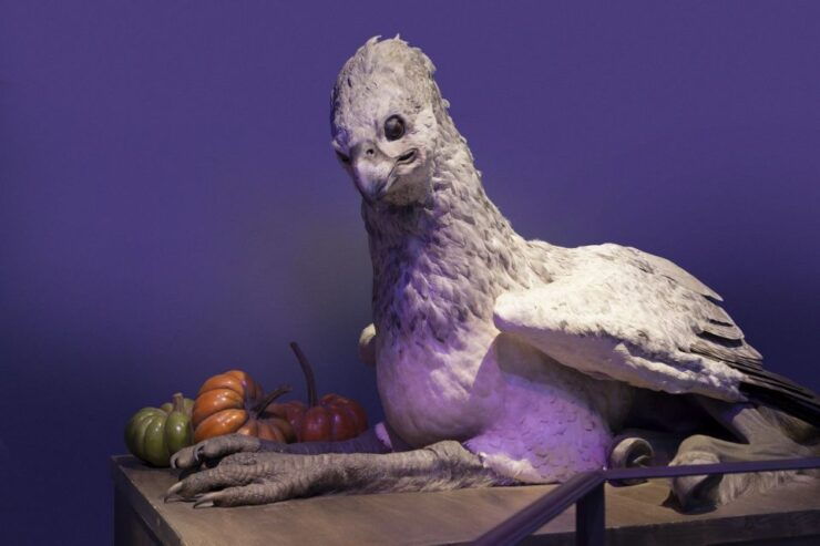 London: Harry Potter Warner Bros. Tour With Hotel Package - Package Inclusions