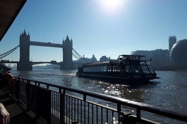 London Highlights Day Tour: Open-Top Bus & Thames River Cruise - Optional extras: London Eye, lunch, or Harrods tea