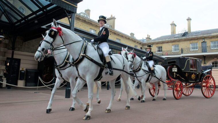 London Highlights Tour & Buckingham Palace Royal Mews Ticket - Details that Matter: What You Can Expect