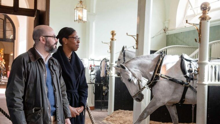 London Highlights Tour & Buckingham Palace Royal Mews Ticket - FAQ