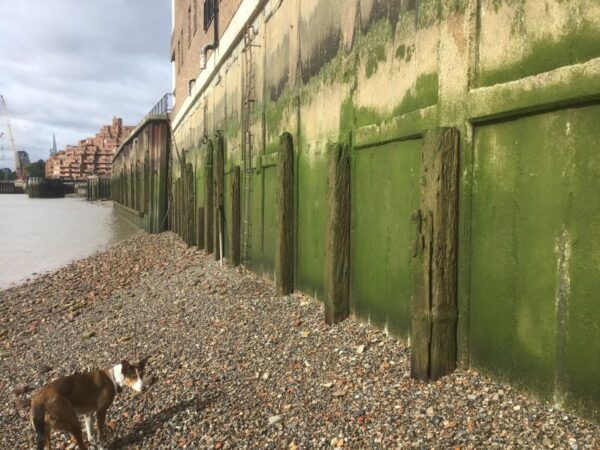 London: Historic East London Wapping Tour - The Sum Up