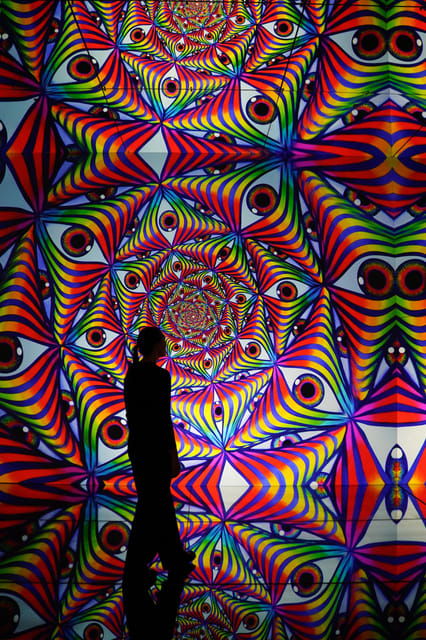 London: Illusionaries Entheon Exhibition Entry Ticket - Good To Know