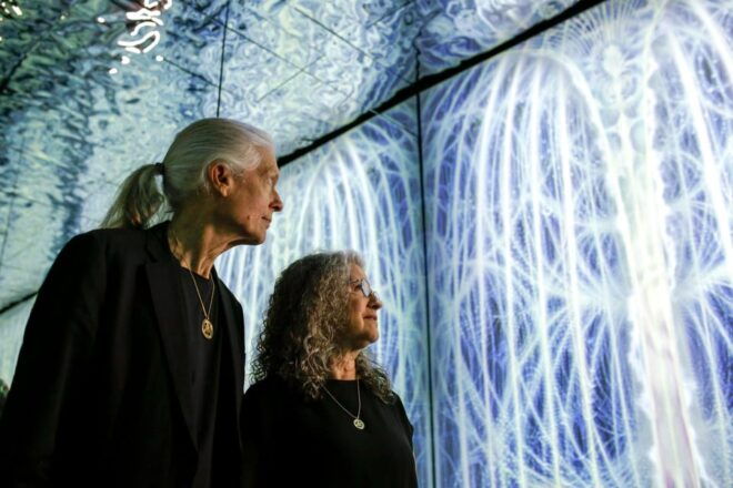 London: Illusionaries Entheon Exhibition Entry Ticket - Themed Rooms