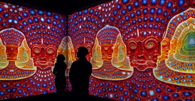 London: Illusionaries Entheon Exhibition Entry Ticket - Entheon