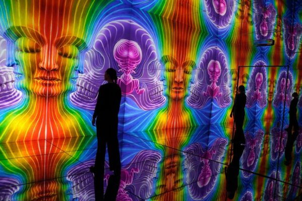 London: Illusionaries Entheon Exhibition Entry Ticket - Accessibility and Group Size