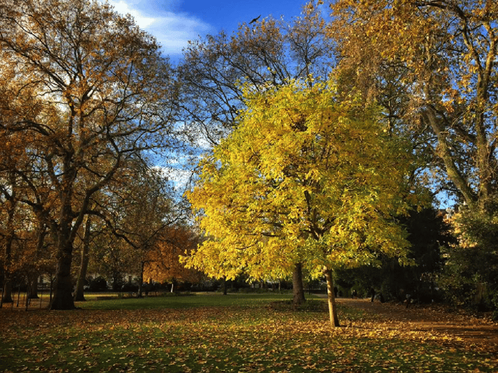London Literary Walking Tour (Bloomsbury) - Good To Know