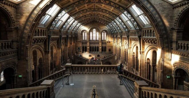 London: Luggage Storage Service Close to the British Museum - Accessibility and Support