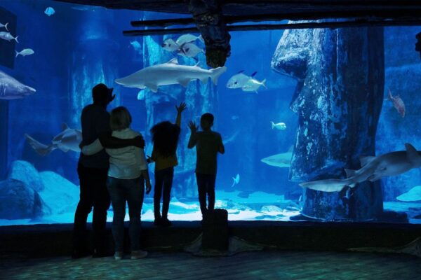 London: Madame Tussauds, London Eye & SEA LIFE Combo Ticket - Review Summary