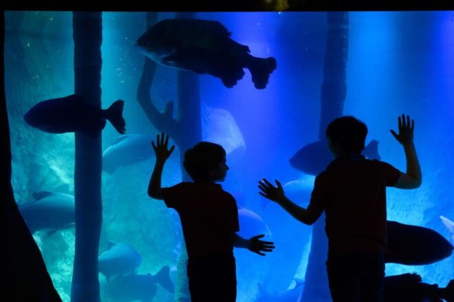 London: Madame Tussauds, SEA LIFE and London Dungeon Entry - Full Description