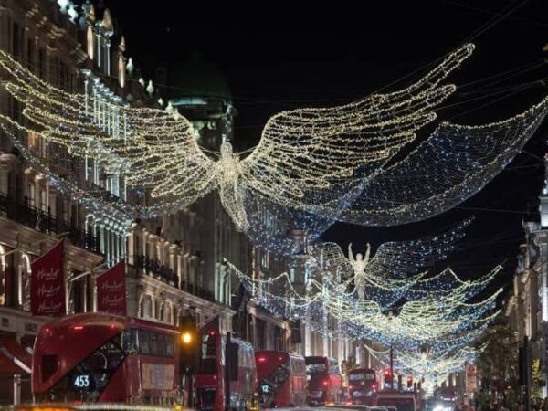 London: Magical Christmas Lights Guided Tour by Private Taxi - Customer Feedback