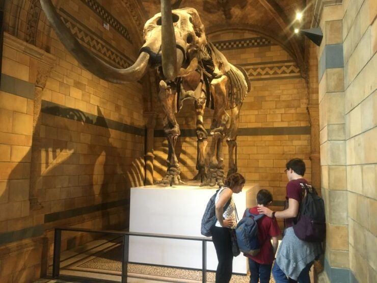 London: Natural History Museum Entry Ticket and Guided Tour - Booking Details