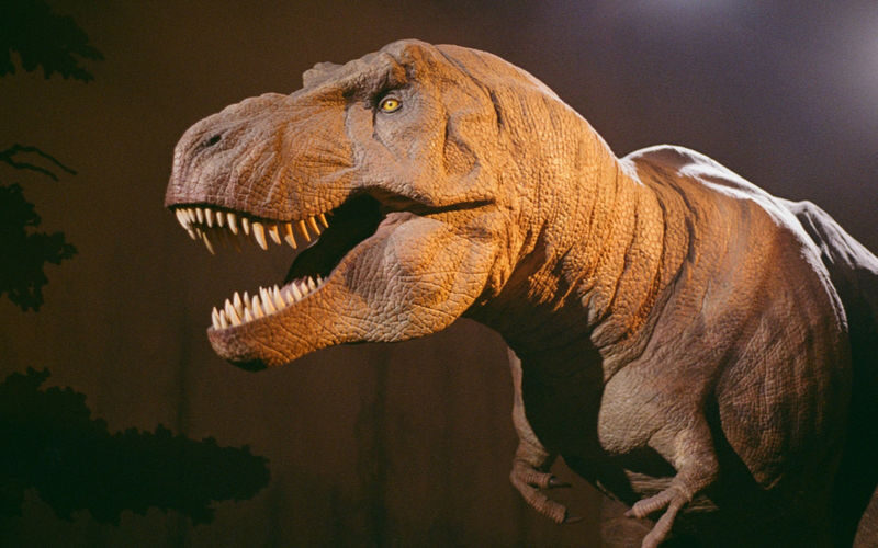London Natural History Museum Express Tour with Audio Guide - A short outdoor start before the museum