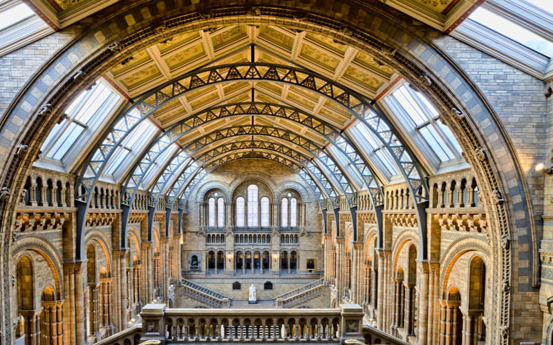 London Natural History Museum Express Tour with Audio Guide - Inside with an audio guide