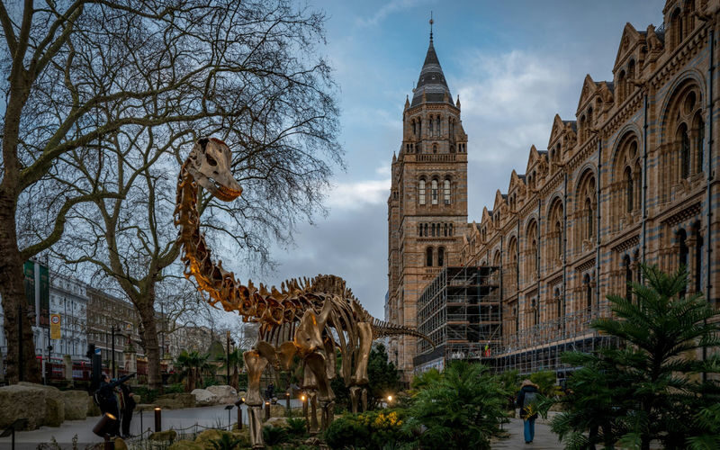 London Natural History Museum Express Tour with Audio Guide - What the mixed experiences mean for you