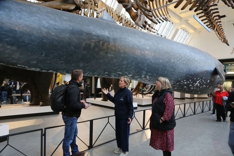 London Natural History Museum Express Tour with Audio Guide - Who this tour suits best