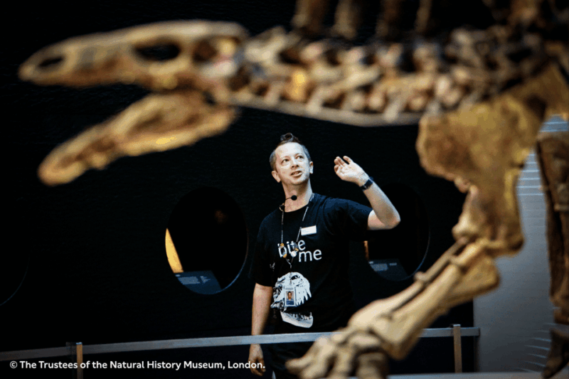 London: Natural History Museum Guided Tour & Afternoon Tea - Good To Know