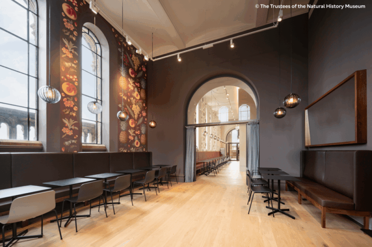 London: Natural History Museum Guided Tour & Afternoon Tea - FAQs
