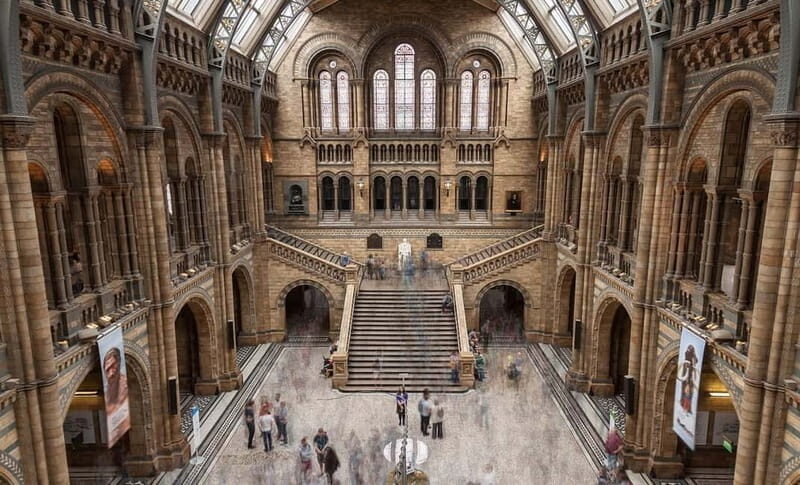 London: Natural History Museum + Guided Tour+ Priority Entry - Exploring the Museum: What You Can Expect
