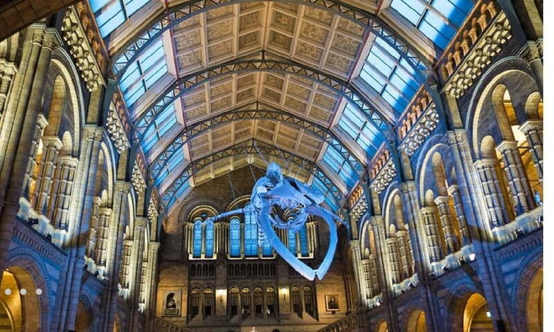 London: Natural History Museum + Guided Tour+ Priority Entry - Authentic Voices: What Tourists Say