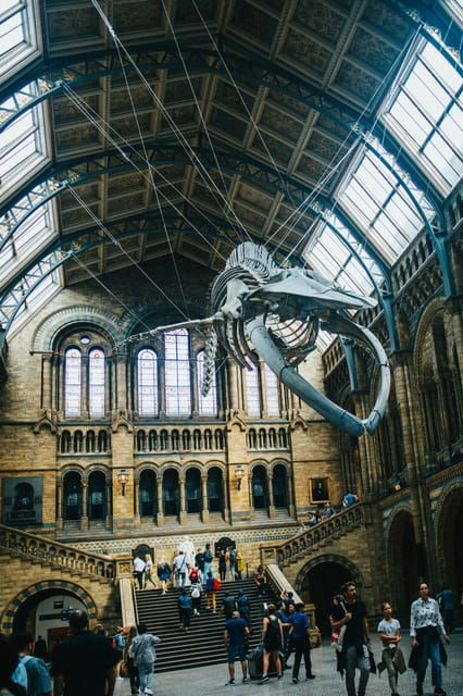 London: Natural History Museum Guided Tour - Good To Know