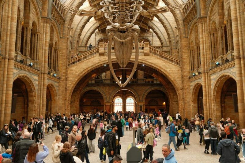 London: Natural History Museum Guided Tour - The Value of the Guided Experience