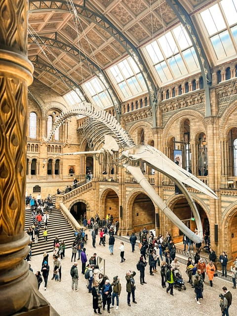 London: Natural History Museum Guided Tour - Real Experiences and Practical Tips