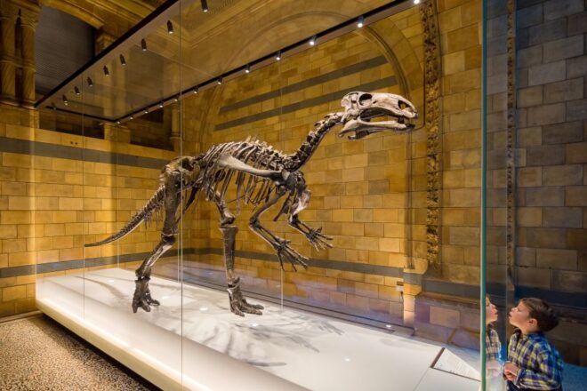 London: Natural History Museum Private Guided Family Tour - Customer Review