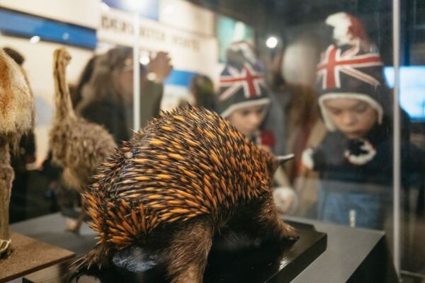 London: Natural History Museum Private Guided Family Tour - Common Questions