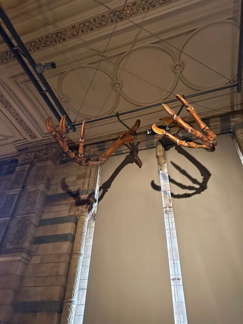 London: Natural History Museum Private Guided Tour - Experience Highlights