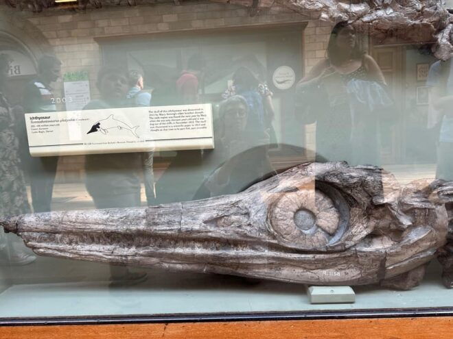 London: Natural History Museum Private Guided Tour - Important Information