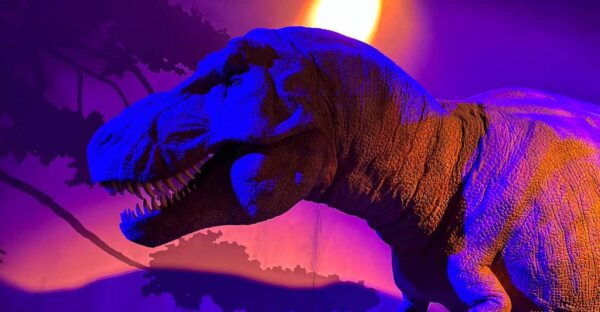 London: Natural History Museum Private Guided Tour - Discover the Diversity of Life