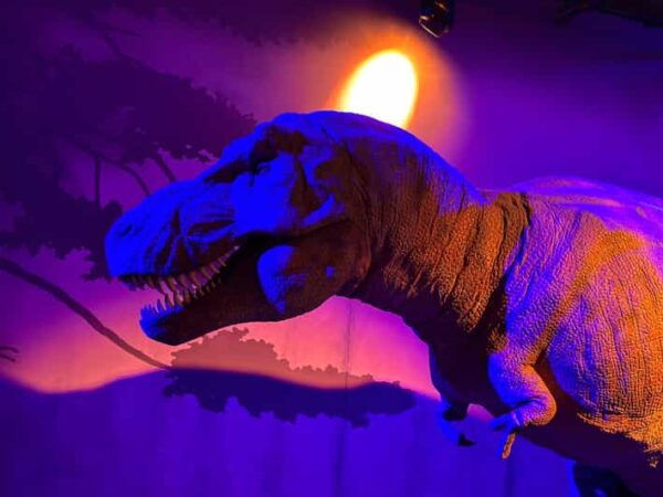 London: Natural History Museum Private Guided Tour - Frequently Asked Questions