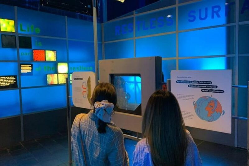 London: Natural History Museum Private Tour & Skip the line - Who Should Book This Tour?