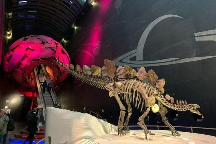 London: Natural History Museum Private Tour & Skip the line - Final Thoughts